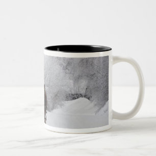Cowansville, Quebec, Canada Two-Tone Coffee Mug