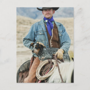 Cowboy and dog on horse postcard