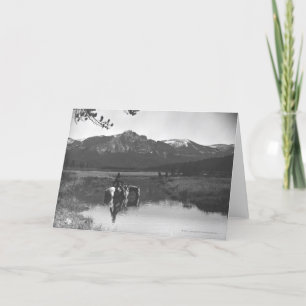 Cowboy and horse in a pond card