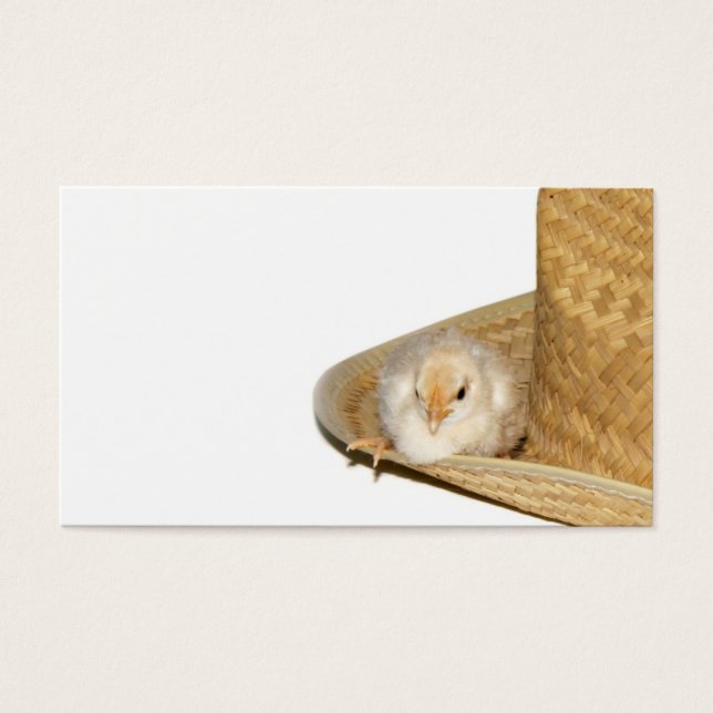 Cowboy baby chick profile card (Front)