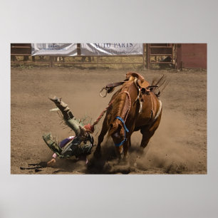 Cowboy falls from bucking bronc poster