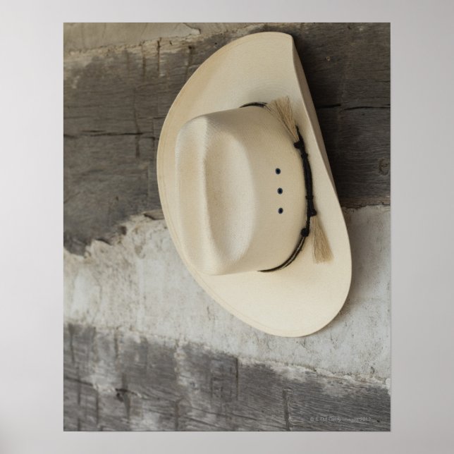 Cowboy hat hanging on wall of log cabin poster (Front)