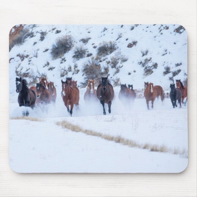 Cowboy Horse Drive | Hideout Ranch Shell, Wyoming Mouse Pad (Front)