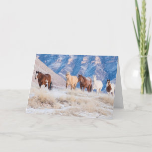 Cowboy Horse Drive on Hideout Ranch Card