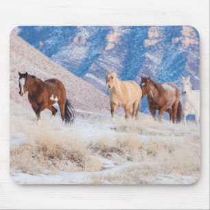 Cowboy Horse Drive on Hideout Ranch Mouse Pad