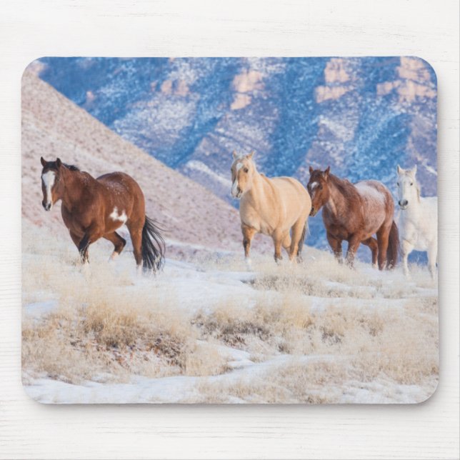 Cowboy Horse Drive on Hideout Ranch Mouse Pad (Front)