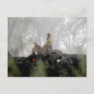 Cowboy in Winter Postcard