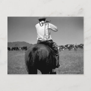 Cowboy on a horse with two brands. postcard