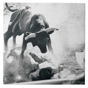 Cowboy on ground after falling off bull ceramic tile