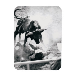 Cowboy on ground after falling off bull magnet