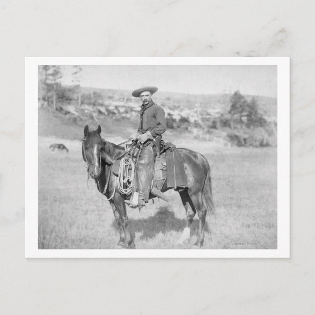 Cowboy on His Horse PhotographSouth Dakota Postcard (Front)