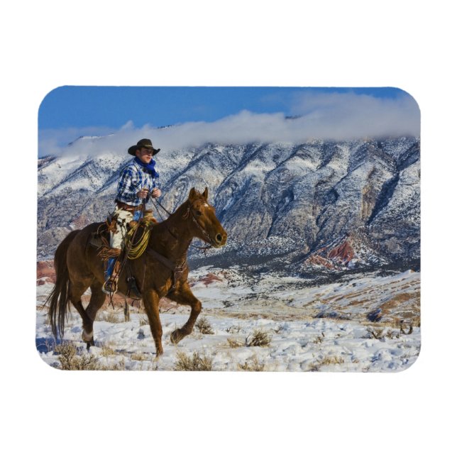 Cowboy on Horse wearing Leather Chaps 2 Magnet (Horizontal)