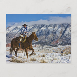 Cowboy on Horse wearing Leather Chaps Postcard