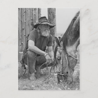 Cowboy Postcard