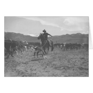 Cowboy roping a calf for spring branding