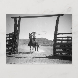 Cowboy roping postcard