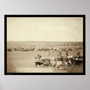 Cowboy Round-Up at Belle Fouche SD 1887 Poster