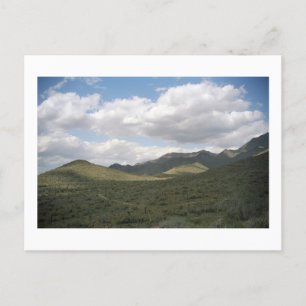 Cowboy Skyline Arizona Desert Photo Postcards
