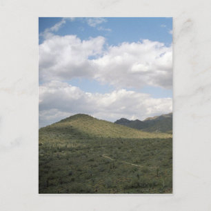Cowboy Skyline Arizona Desert Photo Postcards