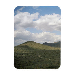 Cowboy Skyline Decorative Western Desert Magnet