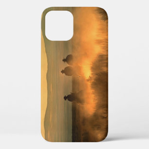 Cowboy Trio: Mountainous Background Gallop. iPhone 12 Case