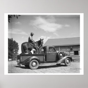 Cowboy with horse in a truck poster