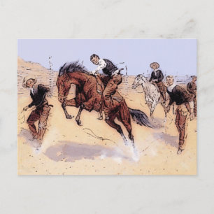 Cowboys - Cowboy Breaking Horse Postcard