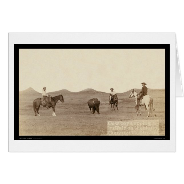 Cowboys Roping A Buffalo SD 1887 (Front Horizontal)