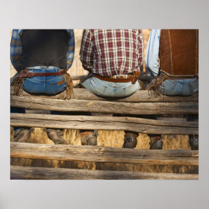 Cowboys sitting on fence poster