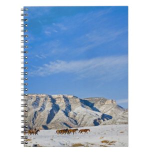 Cowboys with Heard of Horses Notebook