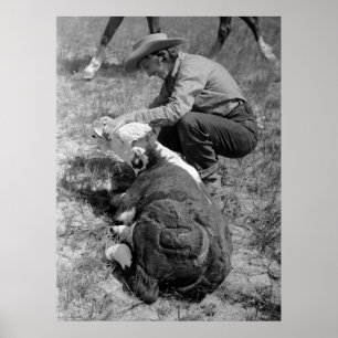 Cowgirl Giving TLC, 1930s Poster