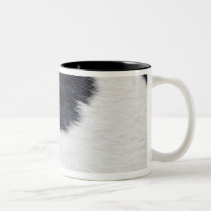 Cowhide Print Two-Tone Coffee Mug