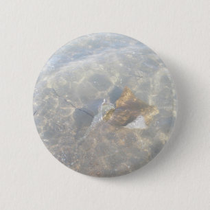 Cownose Stingray OBX Series Button