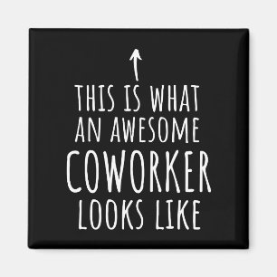 Coworker Gift, Coworker Mug, Awesome Coworker Magnet