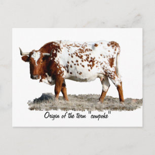 COWPOKE POSTCARD