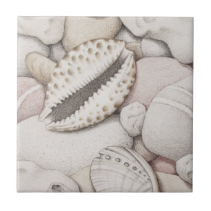 Cowrie & Abalone Shells and Pebbles Ceramic Tile