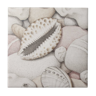 Cowrie & Abalone Shells and Pebbles Ceramic Tile