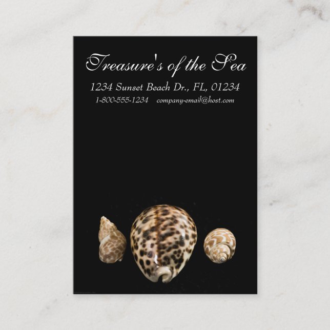 Cowrie Cones 2 Business Card (Front)