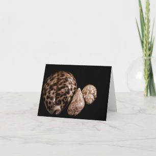Cowrie Cones Card