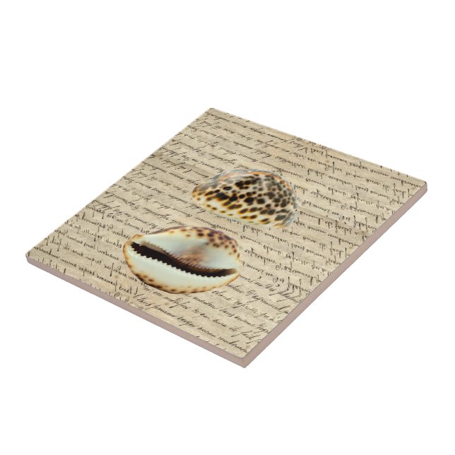 Cowrie shells tile (Side)