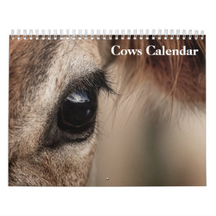 Cows 2025 Calendar