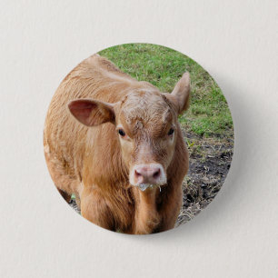 COWS 6 CM ROUND BADGE