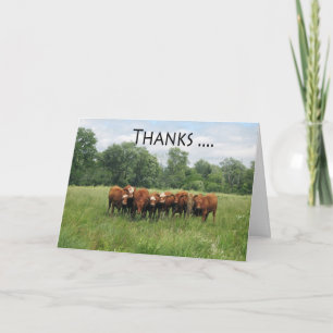 Cows Administrative Pro Day Card