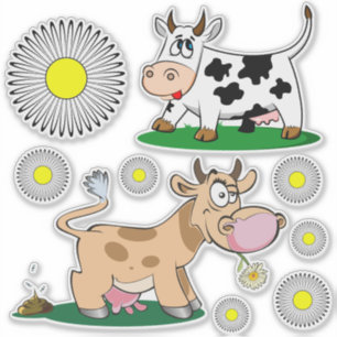 Cows and Daisies