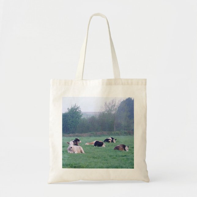 Cows At Daybreak Budget Tote Bag (Front)