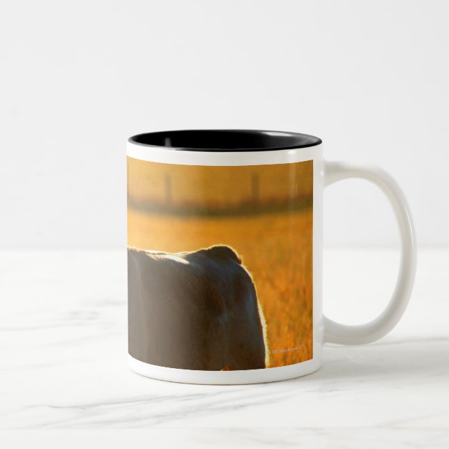 Cows at pasture 2 Two-Tone coffee mug (Right)