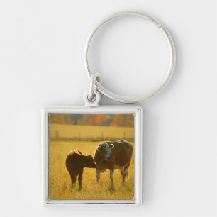Cows at pasture key ring