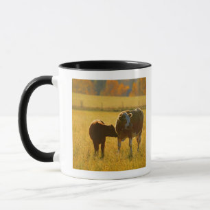Cows at pasture mug