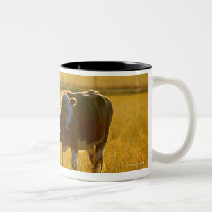 Cows at pasture Two-Tone coffee mug