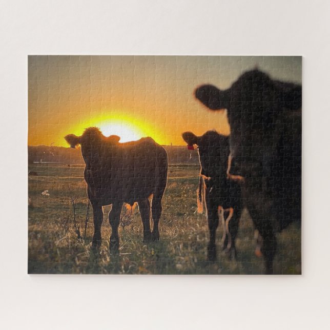Cows at Sunset Jigsaw Puzzle (Horizontal)